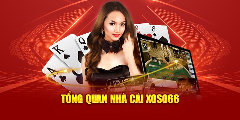 Tổng quan nhà cái Xoso66